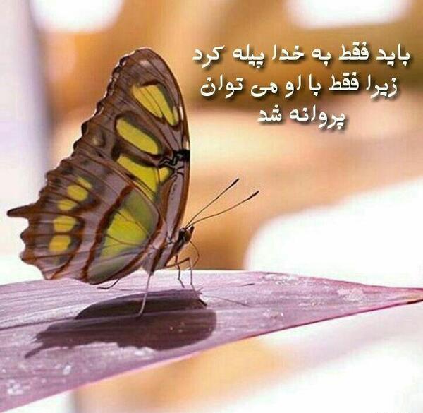 عکس نوشته های کوتاه درباره خدا