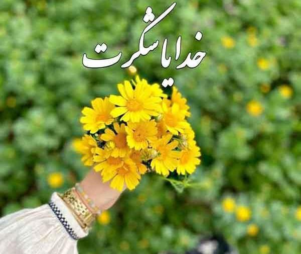 عکس نوشته زیبای خدایا شکرت