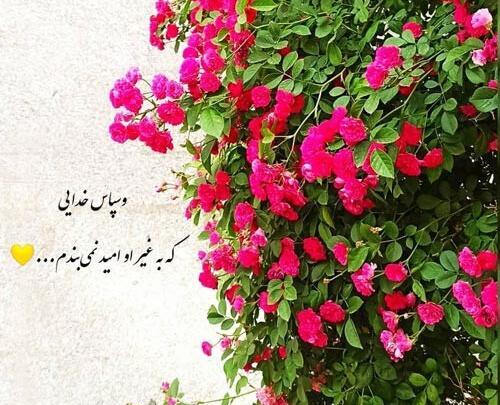 عکس نوشته زیبای خدایا شکرت