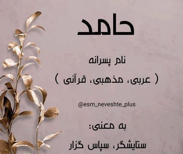 عکس نوشته انگلیسی اسم حامد