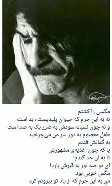 عکس دل نوشته های حسین پناهی
