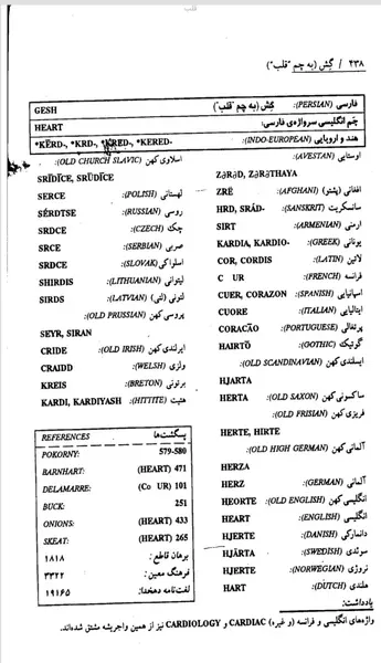 مبینا به انگلیسی عکس نوشته
