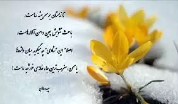 عکس نوشته اسم یاسمین
