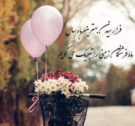 عکس نوشته تولد نوه پسری