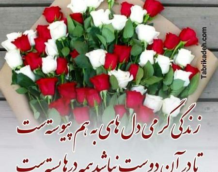 عکس نوشته تولد دوستم