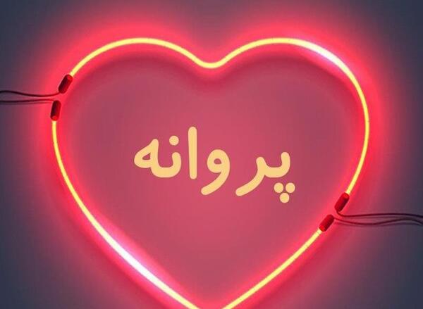 پروانه به انگلیسی عکس نوشته