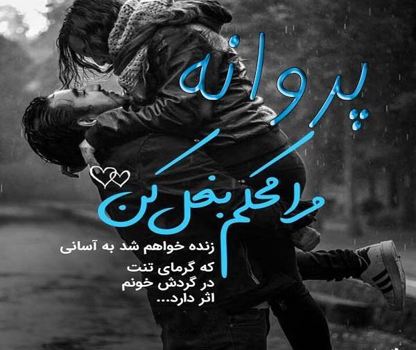 پروانه به انگلیسی عکس نوشته