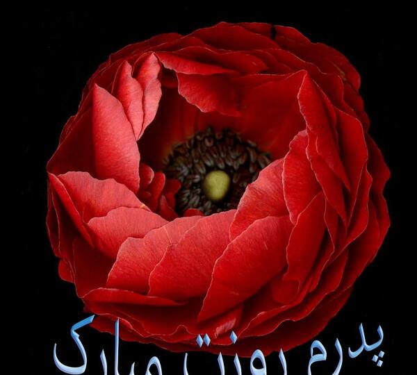 زیباترین عکس نوشته پدر