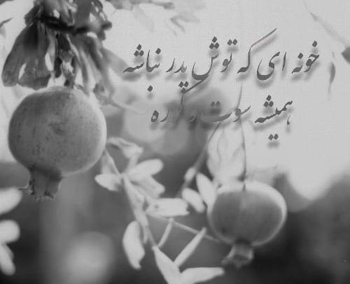 عکس نوشته محرم بدون پدر