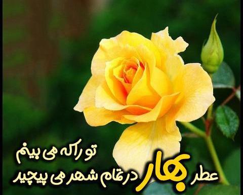 عکس نوشته دختر بهارم