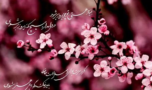 عکس نوشته دختر بهارم