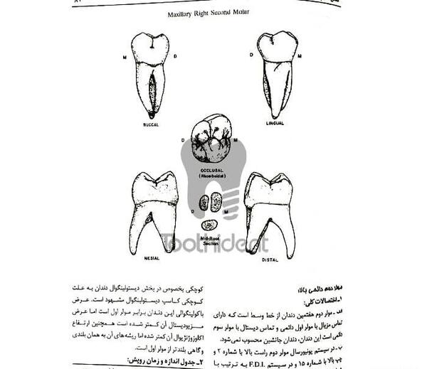عکس نوشته بهناز به انگلیسی
