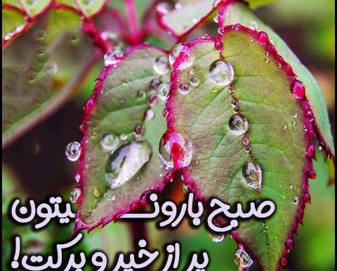 عکس نوشته های روزهای بارانی