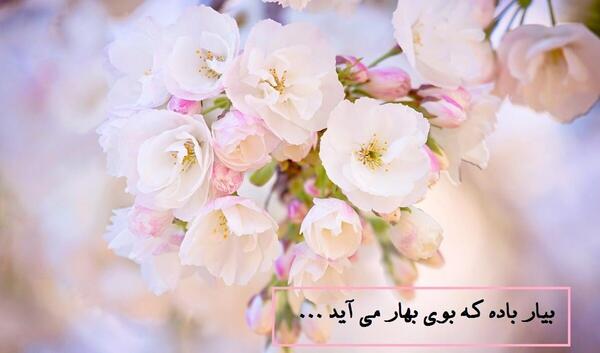 عکس نوشته شعر در مورد بهار