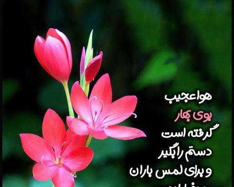 عکس نوشته شعر در مورد بهار