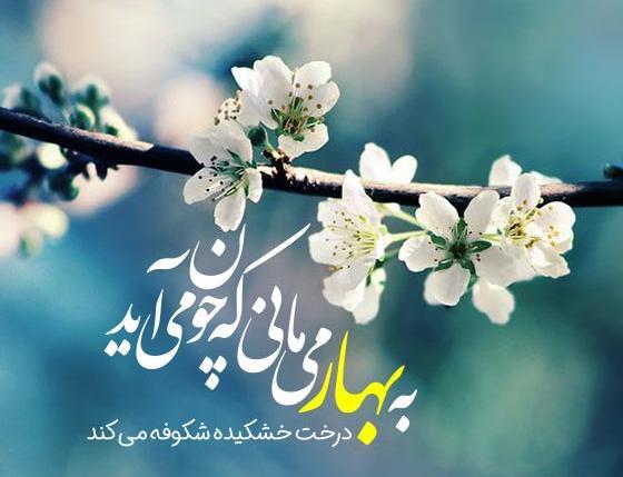 عکس نوشته زیبا در مورد بهار