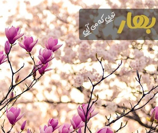 عکس نوشته در مورد امدن بهار