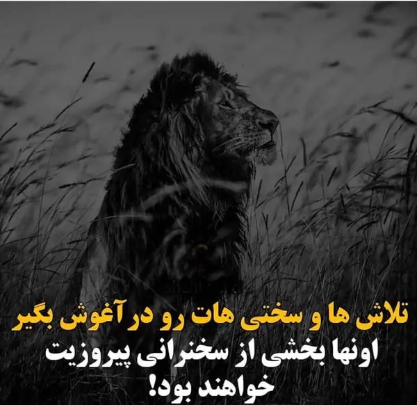عکس نوشته اراده قوی