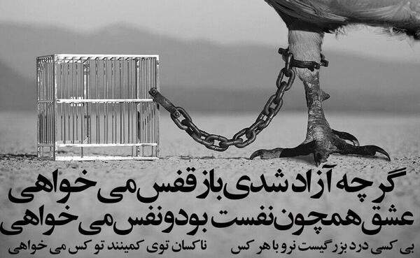 عکس نوشته آزادیت مبارک