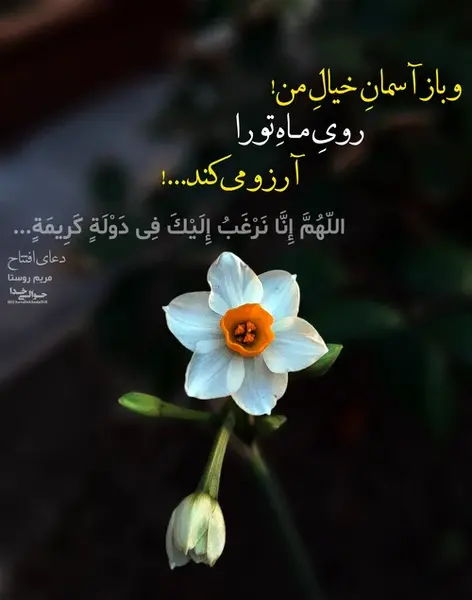 عکس نوشته های شب آرزوها