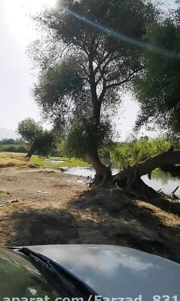 عکس فیک در طبیعت