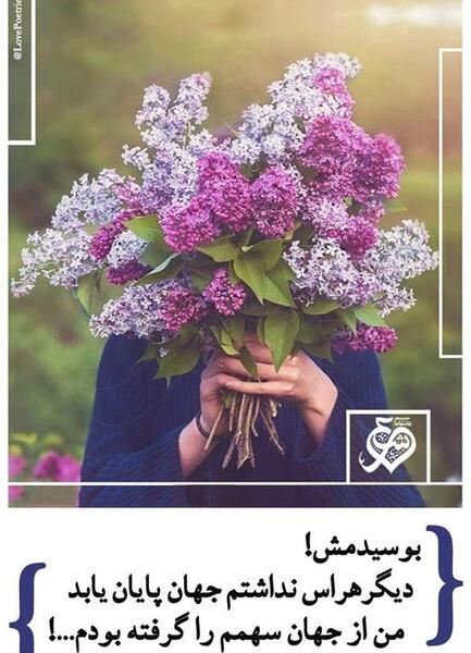 عکس نوشته اشعار احمدرضا احمدی