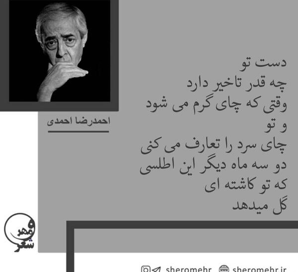 عکس نوشته تولد اسم احمدرضا
