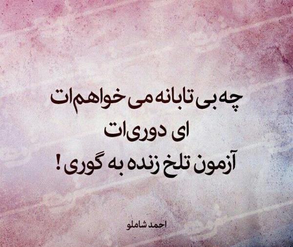 عکس نوشته اشعار احمد شاملو