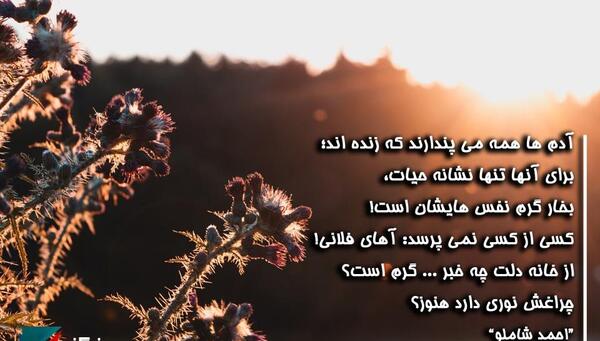 عکس نوشته اشعار احمد شاملو