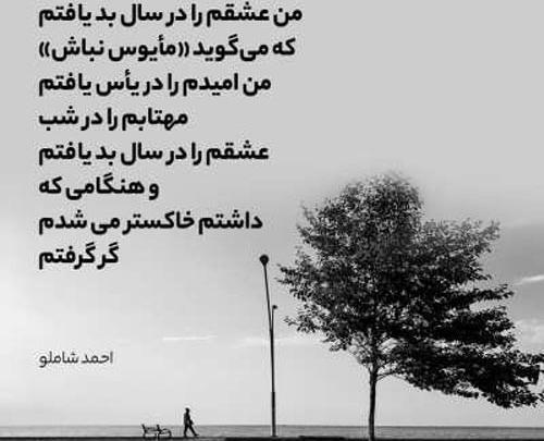 عکس نوشته اشعار احمد شاملو