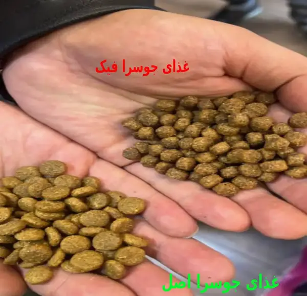 عکس فیک خرید خوراکی