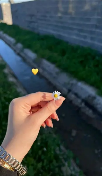 عکس فیک رل شاخ