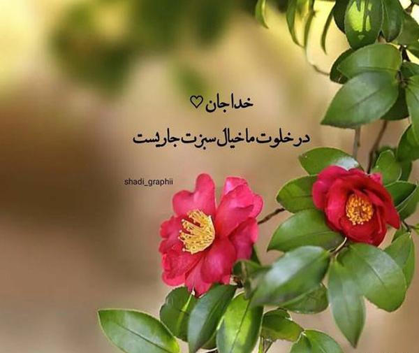 عکس نوشته های امیدوار کننده