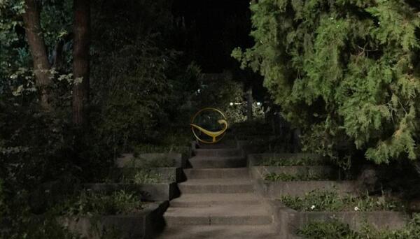 عکس فیک شمال شب