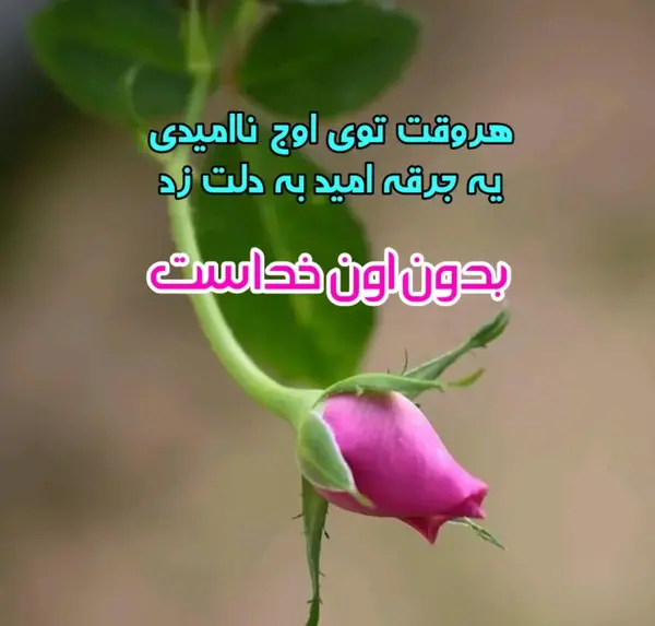 عکس نوشته توکل و امید به خدا