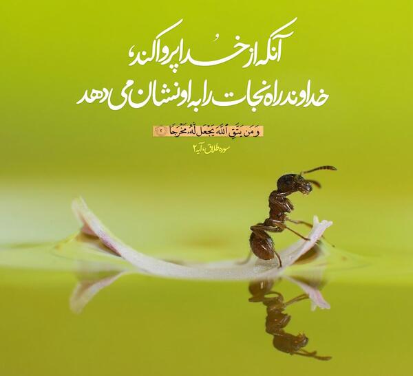 عکس نوشته توکل و امید به خدا
