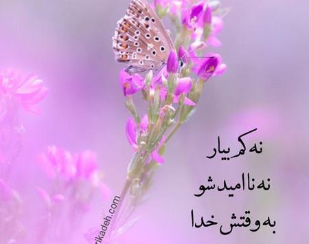 عکس نوشته توکل و امید به خدا