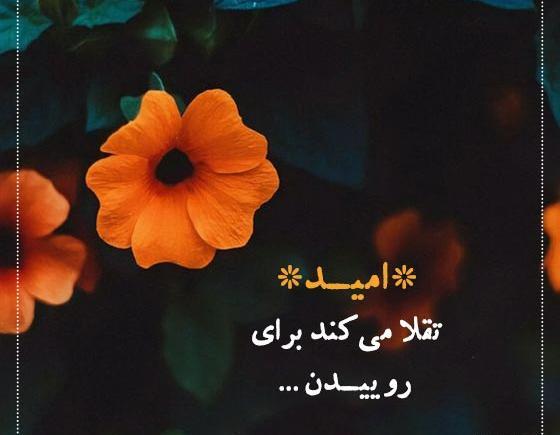 عکس نوشته از امیدواری