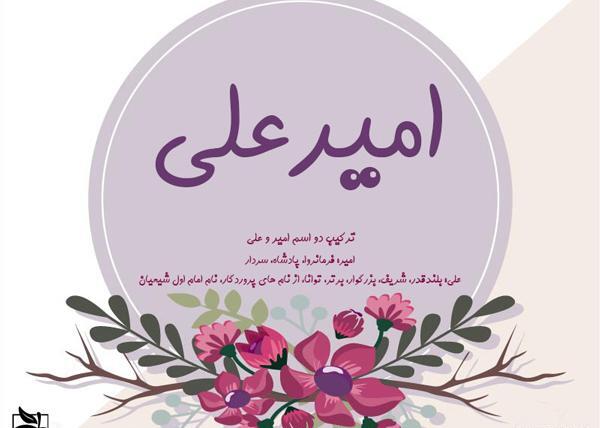 عکس پروفایل نوشته امیر
