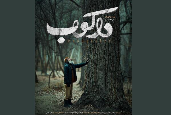 عکس حسین دهقان نیری