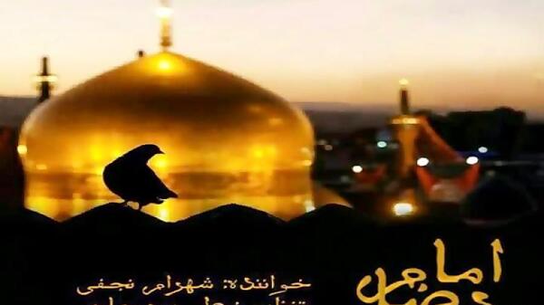 عکس خواننده حسین نجفی