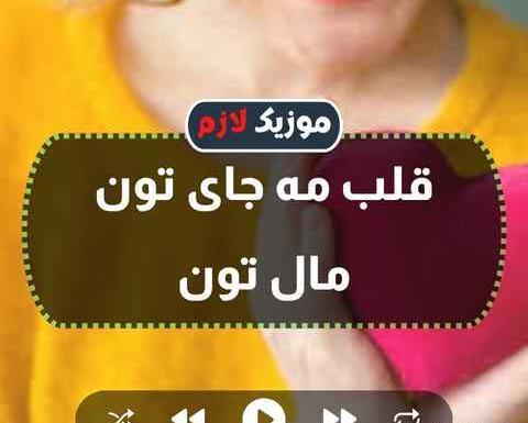 عکس محمد امین مومن زاده