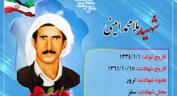 عکس های محمد امینی