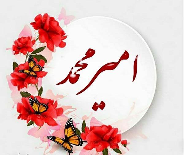 عکس امیرمحمد به انگلیسی