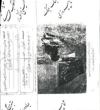 عکس محمد باقریان