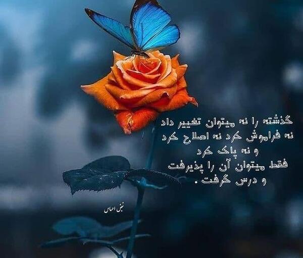 عکس نوشته گل و پروانه