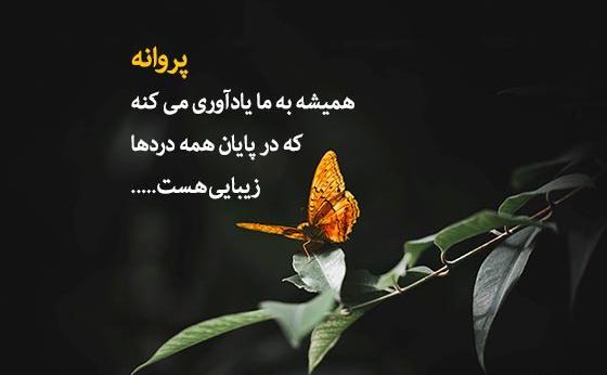 عکس نوشته گل و پروانه
