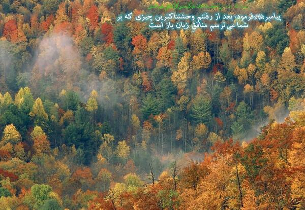 عکس پیامبران محمد