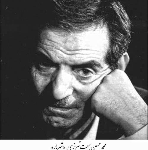 عکس از محمد حسین بهجت تبریزی