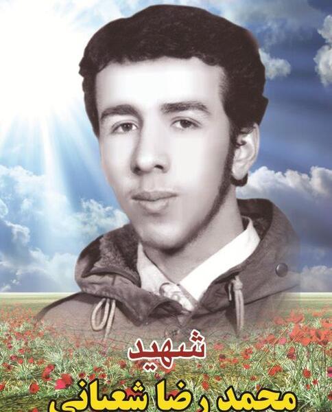 عکس محمدرضا شعبانی